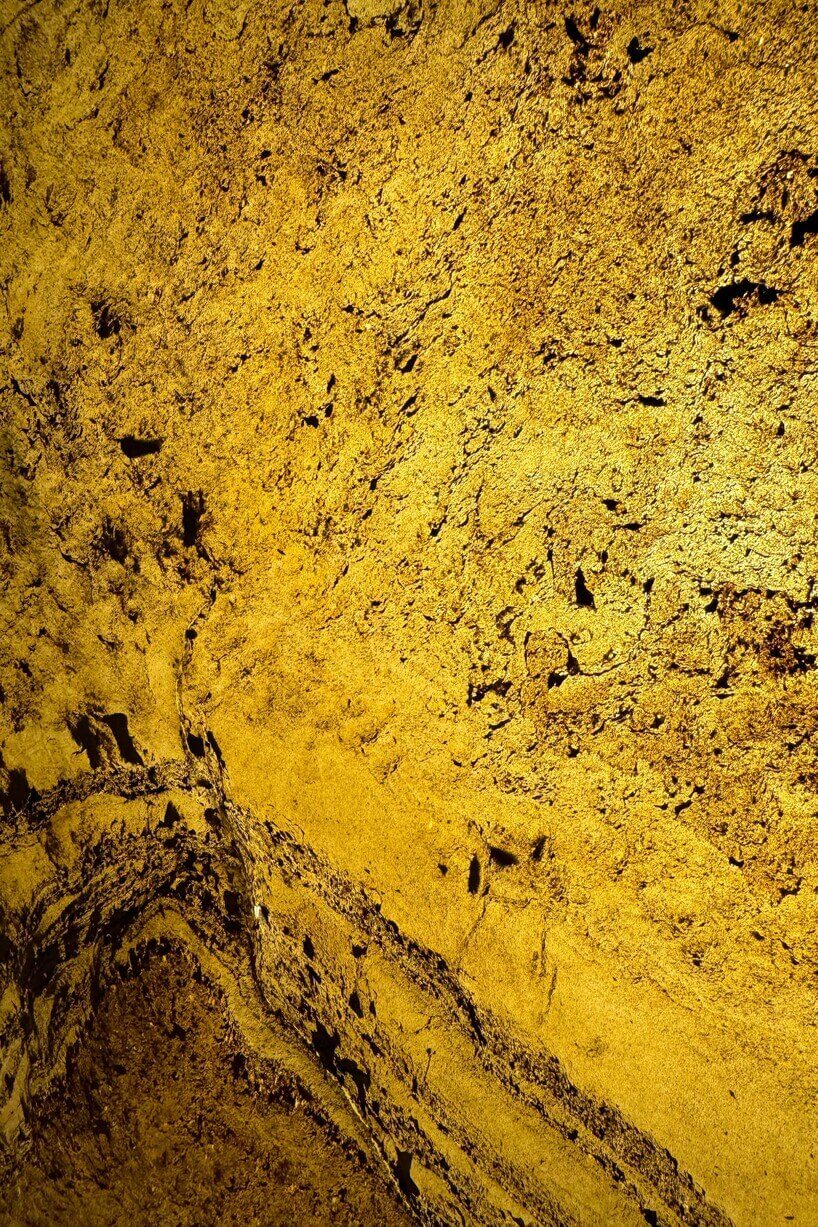 Translucent - Punya - #MACA#