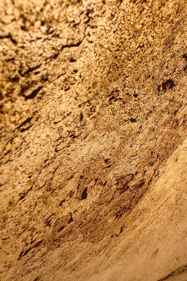 Translucent - Punya - #MACA#