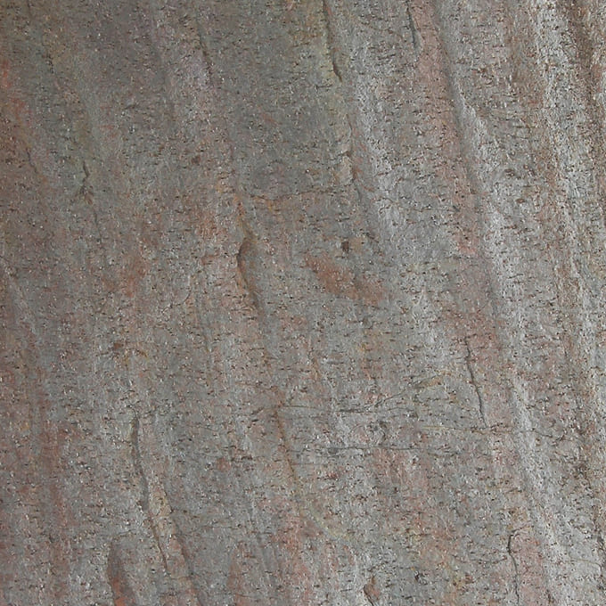 Bodhi